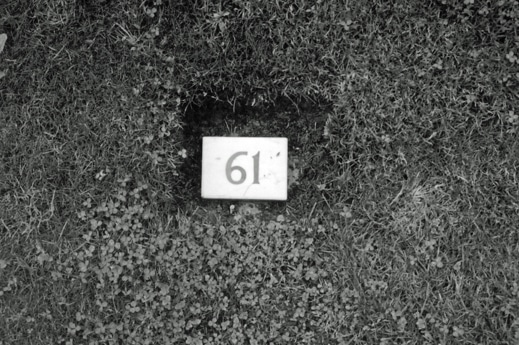 Lee-A-Davis-#9,-Grave-61